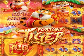 pakarcade Provider Showcase